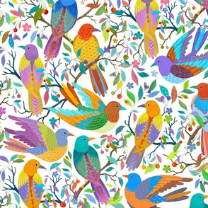 Colorful Birds on a white background