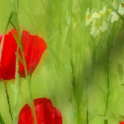 Real Red Poppies