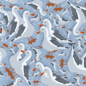 HD Wallpaper of Bird Seagull Flying on Sea  HD Wallpapers