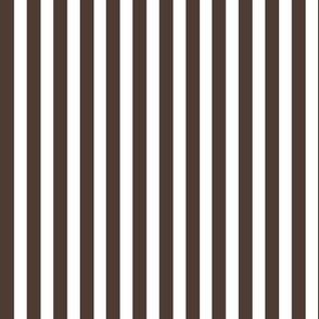 Dark brown stripe / white background