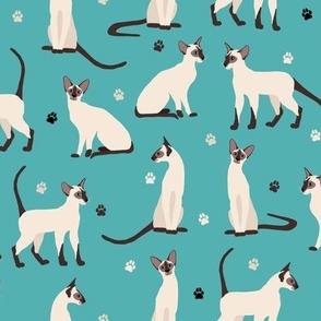 Siamese Cat and Paw Elegant Cats Teal Blue