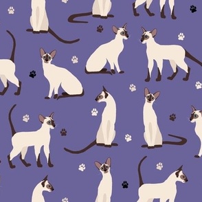 Siamese Cat and Paw Elegant Cats Purple