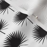 fan palm leaf black and white
