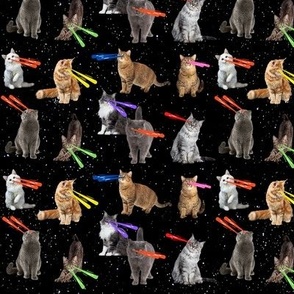 Cats with Laser Beam Eyes