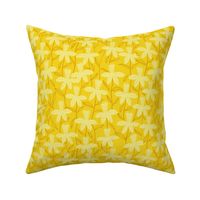 Daffodil_Dreams_Yellow