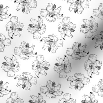 Hibiscus Diamond Pattern