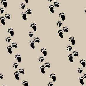 Polar Bear Paw Prints
