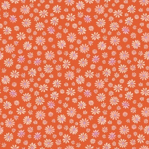 (S) Watercolour Summer Daisies on Coral