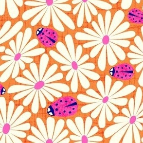 Ladies and Daisies | Pink and Orange
