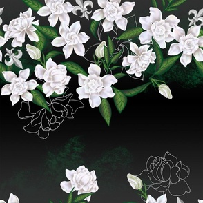 Gardenia  Flowers  Nature Background Wallpapers on Desktop Nexus Image  2483503
