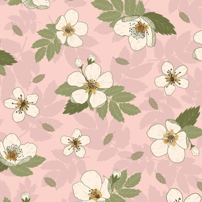 Apple blossoms cream on pink, large size