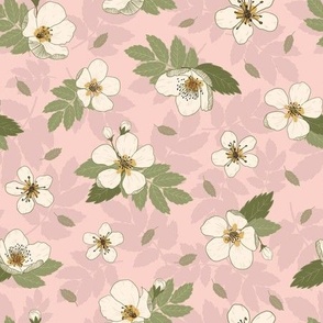 Apple blossoms cream on pink, small size