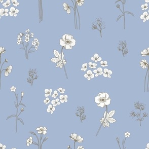Botanical illustration, elegant florals grey on blue