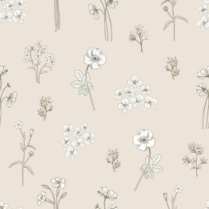 Botanical illustration, neutral elegant florals grey on beige