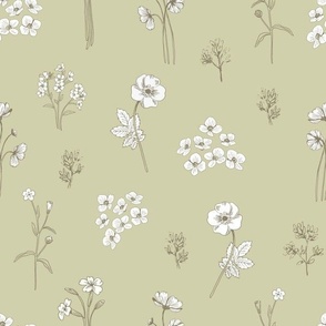 Botanical illustration, elegant florals grey on green