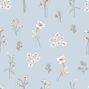 Botanical illustration, elegant florals grey on light blue