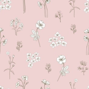 Botanical illustration, elegant florals grey white on pink