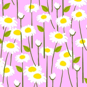 Retro Modern Summer Daisy Flowers On Pink Repeat Pattern