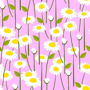 Modern Summer Daisy Flowers On Pink