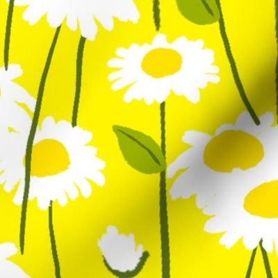 Modern Summer Daisy Flowers On Yellow
