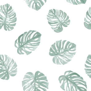 Hand painted monstera leaves garden summer wallpaper moody sage green pastel on white