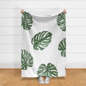 Hand painted watercolor monstera leaves garden summer wallpaper deep olive green on white