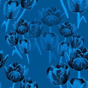 Sapphire Tulips