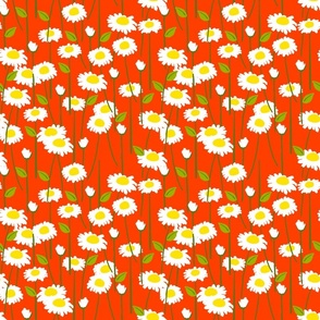 Retro Modern Summer Daisy Flowers On Red Repeat Pattern