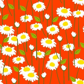 Retro Modern Summer Daisy Flowers On Red