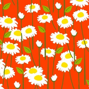 Modern Summer Daisy Flowers On Red