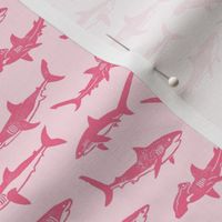 Sharks Block Print Bubble Gum Pink by Angel Gerardo - Small Scale