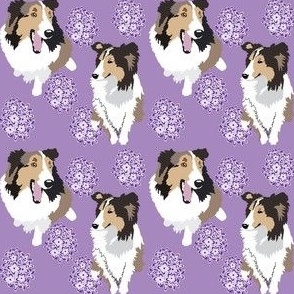 Sheltie dog and Lilac flowers small Dog Fabric