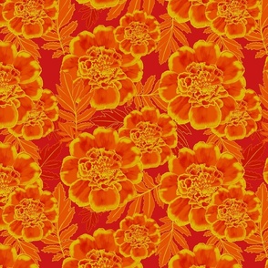 Merry about Marigolds,orange and yellow marigolds 