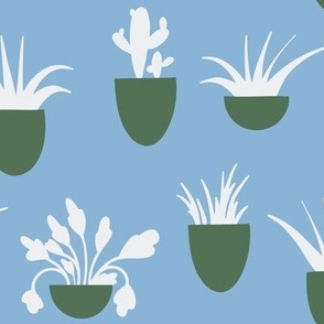 Potted plants-DaniDesign-DD22051