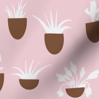 Potted plants-DaniDesign-DD22052