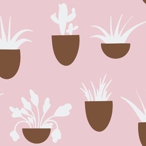 Potted plants-DaniDesign-DD22052