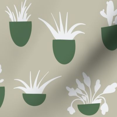 Potted plants-DaniDesign-DD22053