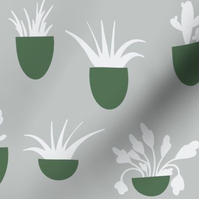 Potted Plants-DaniDesign-DD22057