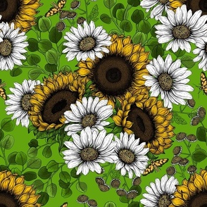 Sunflowers and daisies, summer garden on green