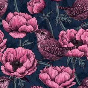 Wrens in the anemone garden on dark blue