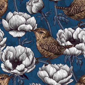 Wrens in the white anemone garden on dark blue