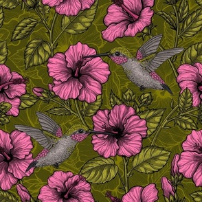 Pink hibiscus and hummingbirds, tropical garden on dark green