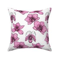 Pink orchid flowers, tropical florals on white 