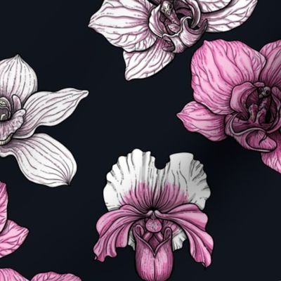 Pink orchid flowers, tropical florals  on black