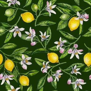 Lemon branches with blossoms and fruit 2