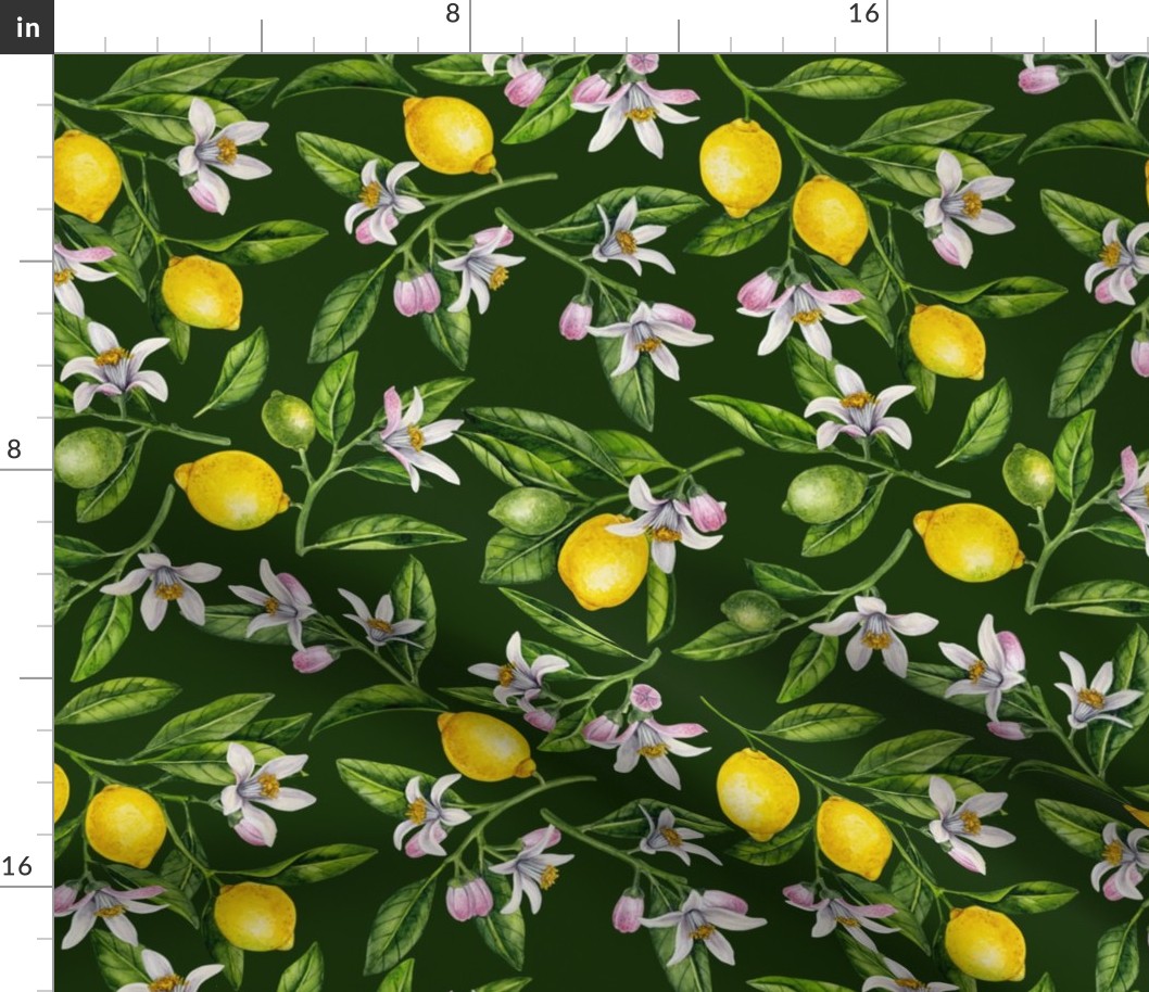 Lemon branches with blossoms and fruit 2