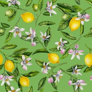 Lemon branches with blossoms and fruit on green