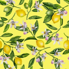 Lemon branches with blossoms and fruit on yellow