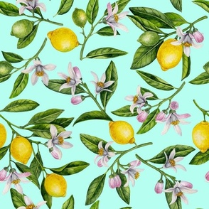 Lemon branches with blossoms and fruit on turquoise