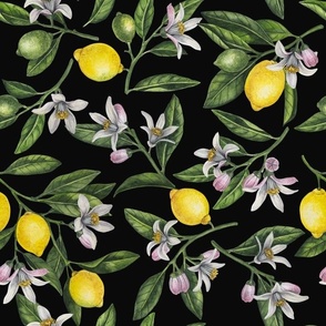 Lemon branches with blossoms and fruit on black